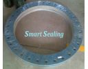 ZHEJIANG SMART SEALING CO., LTD.: Non-asbesto gasket - SMT-342