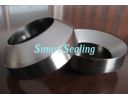 Die-formed graphite ring - SMT-316